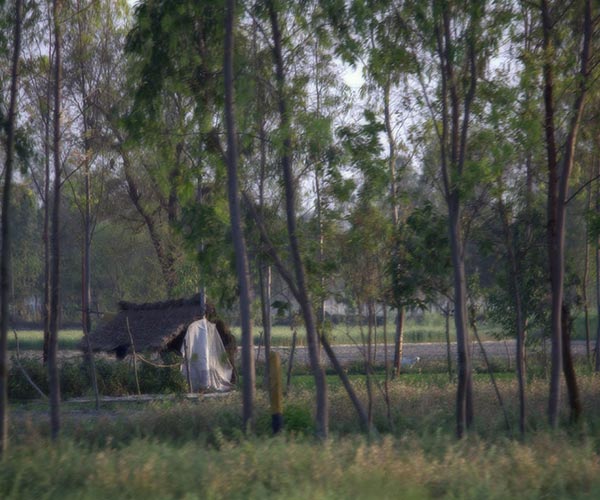 The Rain and the Artisan