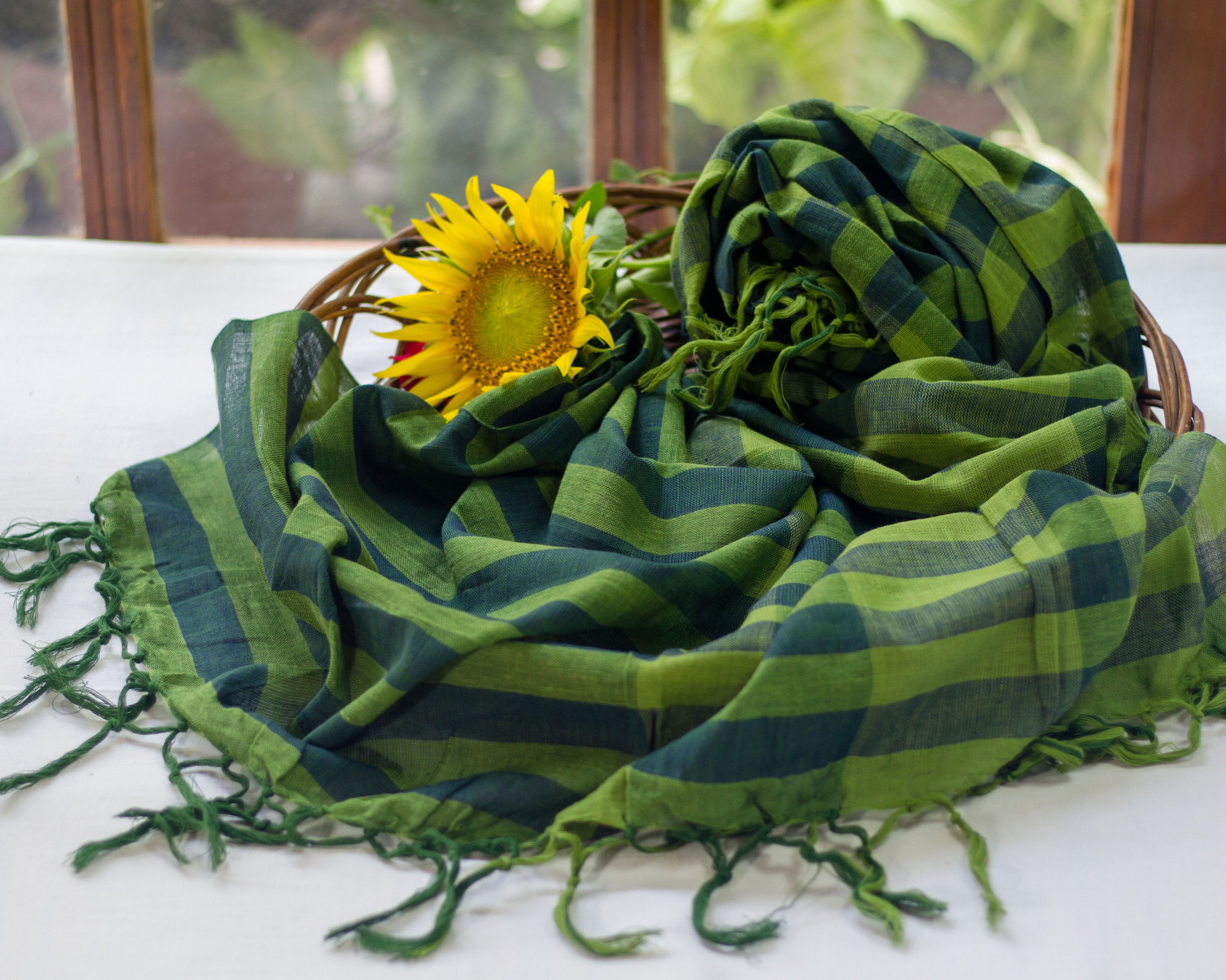 Green Fields 2