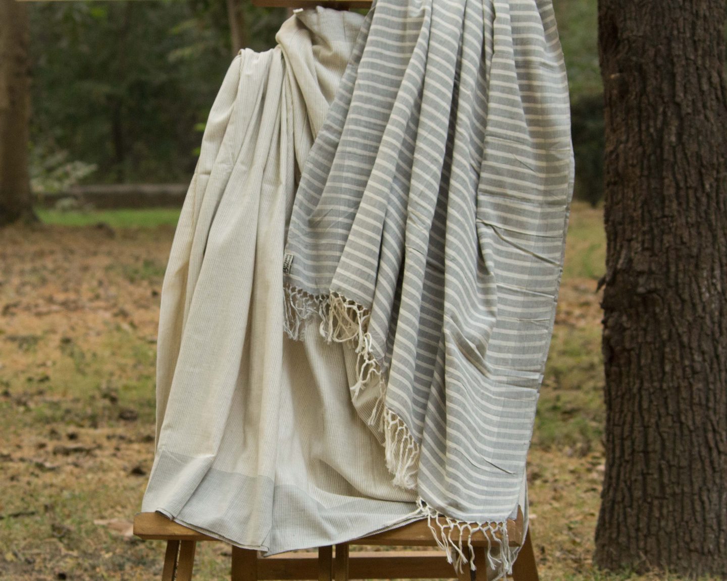 https://baragaonweaves.com/wp-content/uploads/2020/08/white-saree-pastel-handloom-handmade-1.jpg