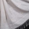 handlooom sari with Lucknowi chikankari embroidery handmade white jaal natural