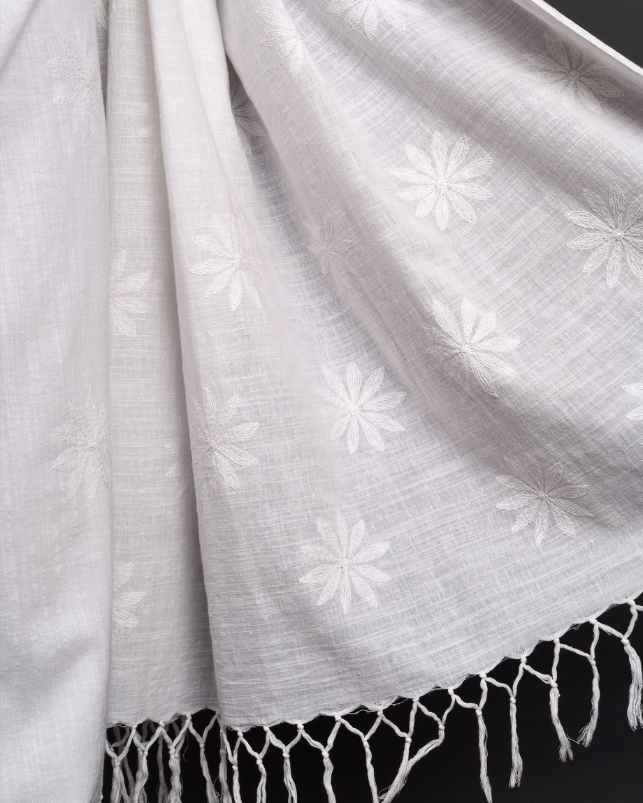 handlooom sari with Lucknowi chikankari embroidery handmade white jaal natural