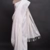 handlooom sari with Lucknowi chikankari embroidery handmade white jaal natural